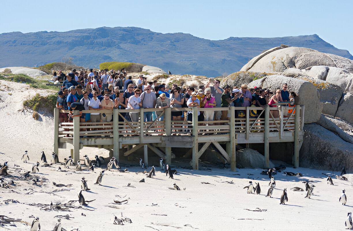 10-Day Cultural Immersion Itinerary for Cape Town (June)